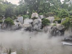 -东莞植物园