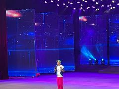 -南风大剧院莎梦二人转剧场