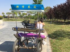 -上海都市菜园