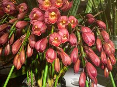 -春暖花开(西溪店)