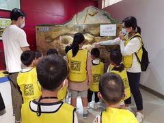 -上海昆虫博物馆