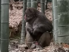 -苏州环秀晓筑养生度假村