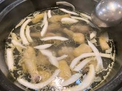 -春润大地海南椰子鸡(沙井京基百纳广场店)