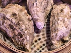 -杨氏青龙虾·羊蝎子(托乐嘉店)