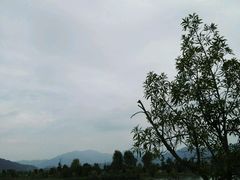 -溪口-滕头旅游景区