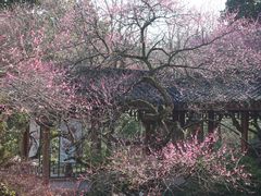 -杭州植物园