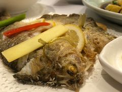 -骏莱海鲜鱼港(五角场店)