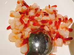 -蝶园·装修中(BFC外滩金融中心店)