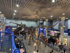 -国家自然博物馆