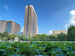 -黄兴公园