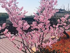 -美兰湖景区