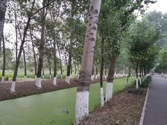 -东郊湿地公园