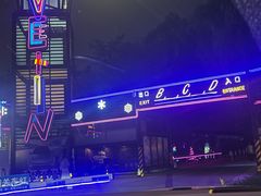 -枫花园汽车电影院(朝阳公园店)