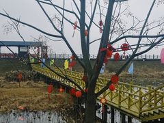 -鄱阳湖国家湿地公园