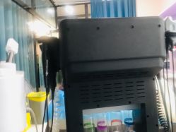 -南宁维密整形·王敦华眼鼻整复中心