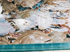 -港畔赶海蒸汽海鲜烧烤自助(仙螺岛店)