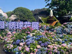 -无锡蠡湖国家湿地公园-蠡园