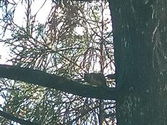 -江西阳明山国家森林公园