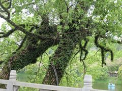 -潮州西湖