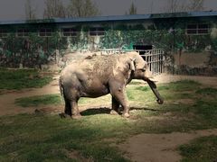 -西安秦岭野生动物园