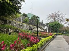 -大炮台
