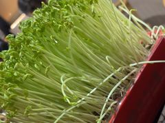 -番食园鲜食火锅(高新店)