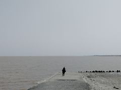 -南汇嘴观海公园