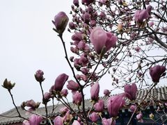 -恭王府博物馆