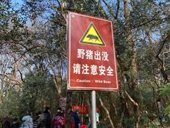 -紫金山山顶公园