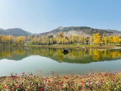 -千年银杏谷文化旅游区