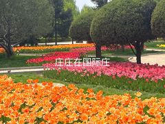 -石家庄市植物园