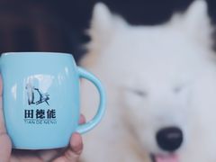 铁壶咖啡-田德能咖啡博物馆
