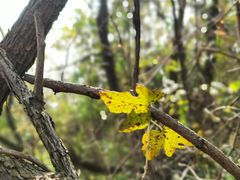 -盘龙城国家考古遗址公园