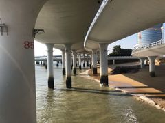 -演武大桥观景平台