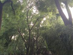 -宣武艺园