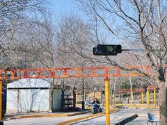 -朝阳公园游乐园