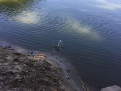 -佛山祈福仙湖酒店