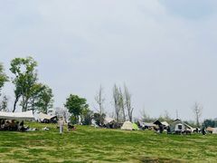 -白鹭湾湿地公园