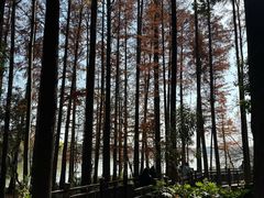 -东湖落雁景区