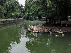 -黔灵山公园