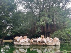 -珠海长隆海洋王国