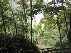 -碧峰峡风景区