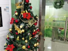 -学知乐教育·幼小衔接·小学科辅导(嘉定镇校区)