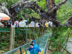 -龙湾潭国家森林公园