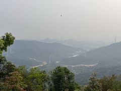 -黄埔油麻山森林公园