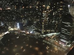 -东京都厅舍