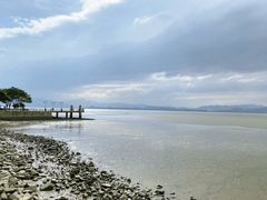 -深圳湾公园(南山区)