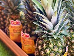 -东吴水韵(吴中店)