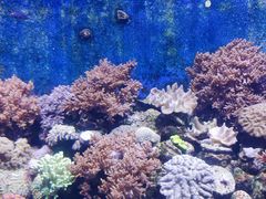 -珠海长隆海洋王国