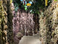 -新疆国际大巴扎